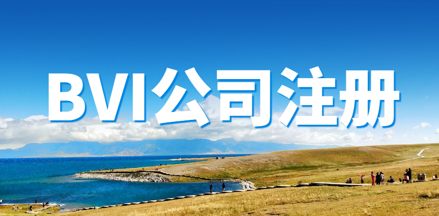 BVI公司：海外投資與資產(chǎn)保護(hù)的理想之選